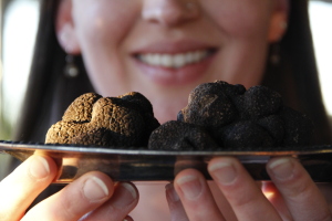 Jan 16-19 Napa Truffle Festival Features All You Want to Know About Truffles
